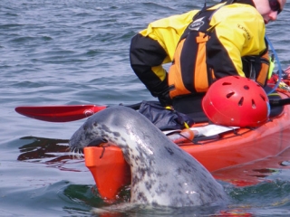  Conoce a los lugareños